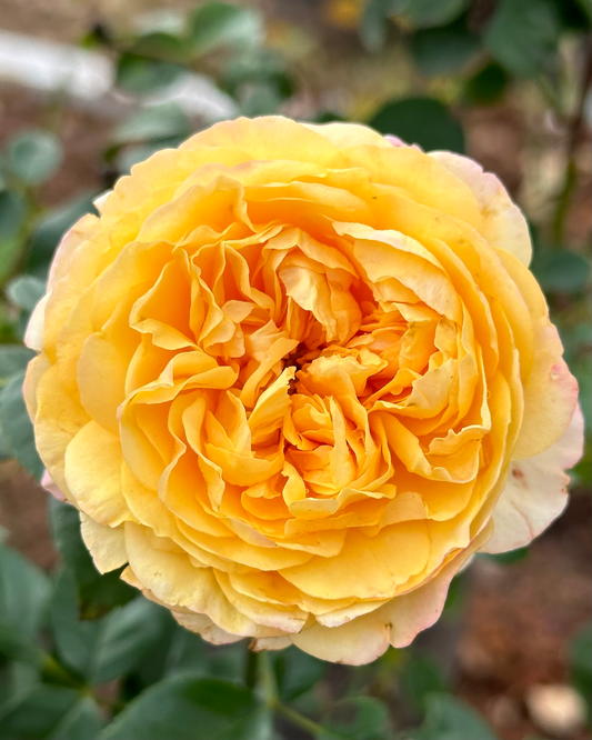 Beyond Fabulous image 0