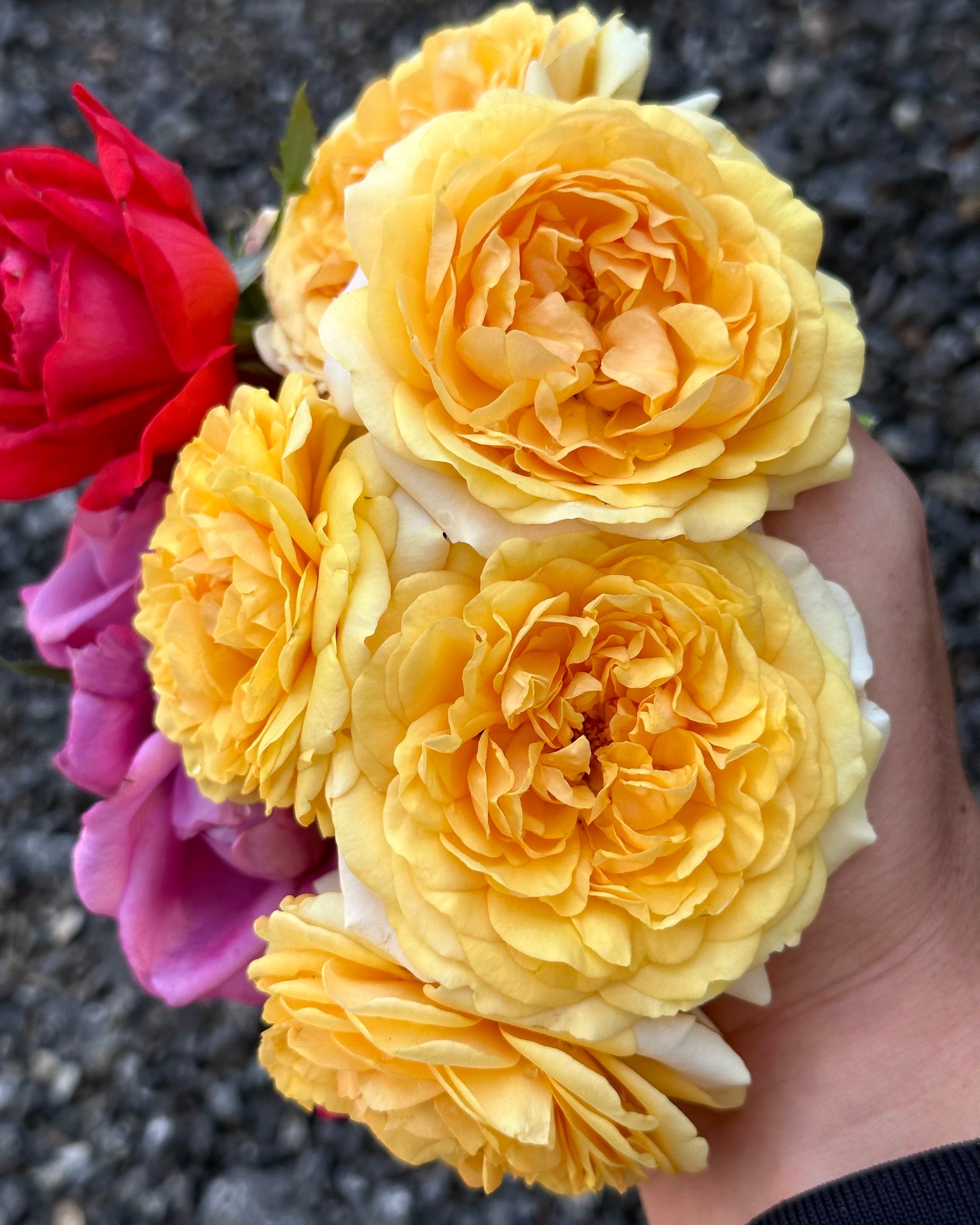 Beyond Fabulous image 3