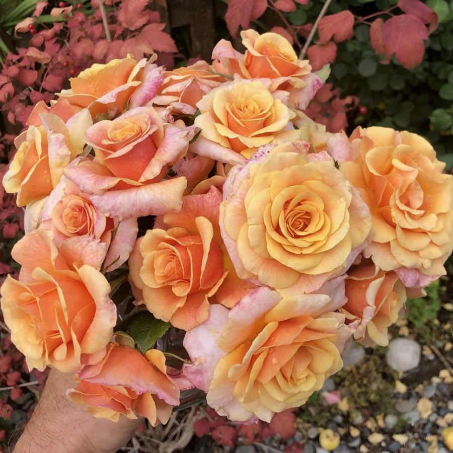 Glowing Inspiration image 1