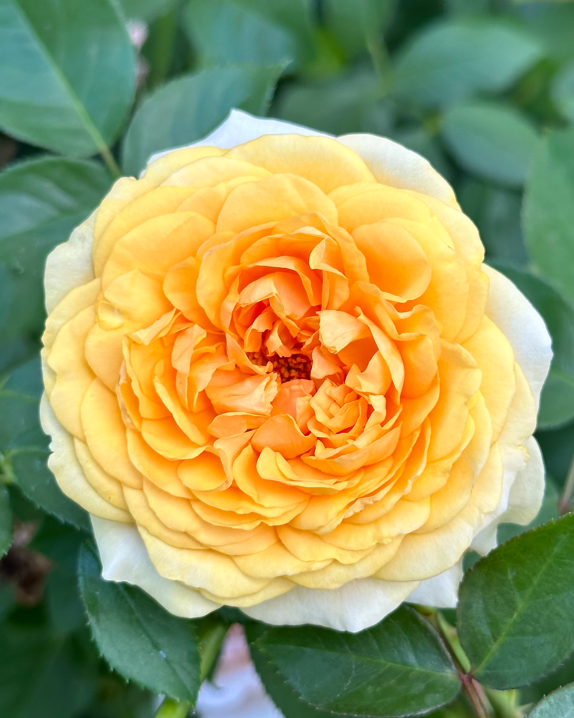 Beyond Fabulous image 2