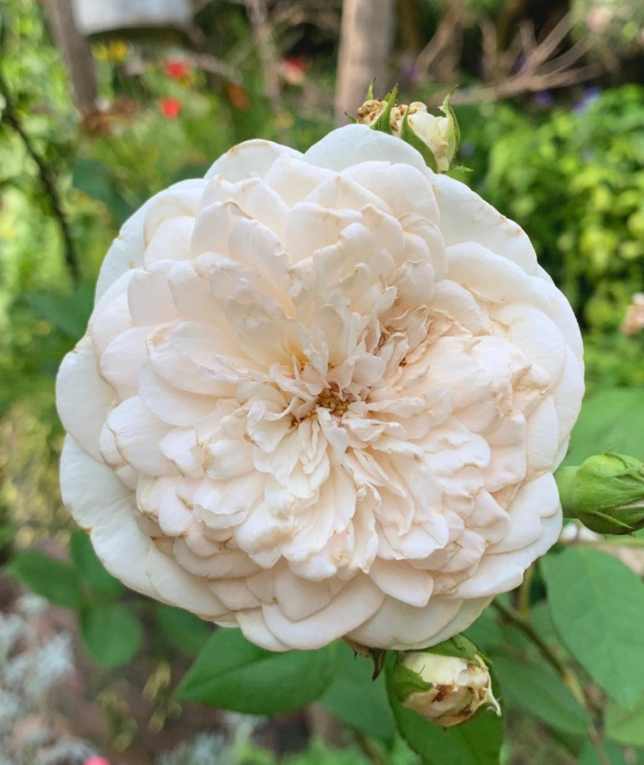 Climbing Sombrieul image 0