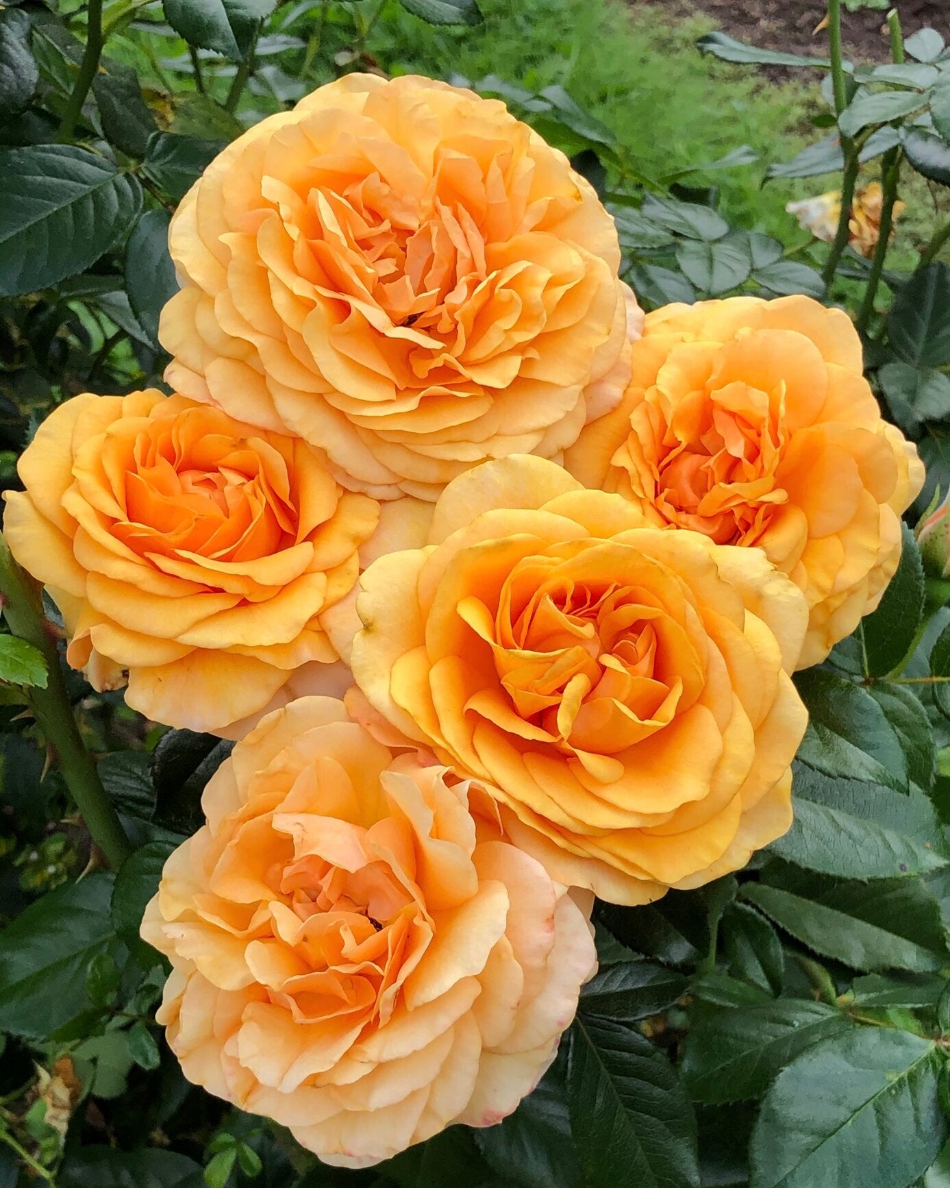 Beyond Fabulous image 1