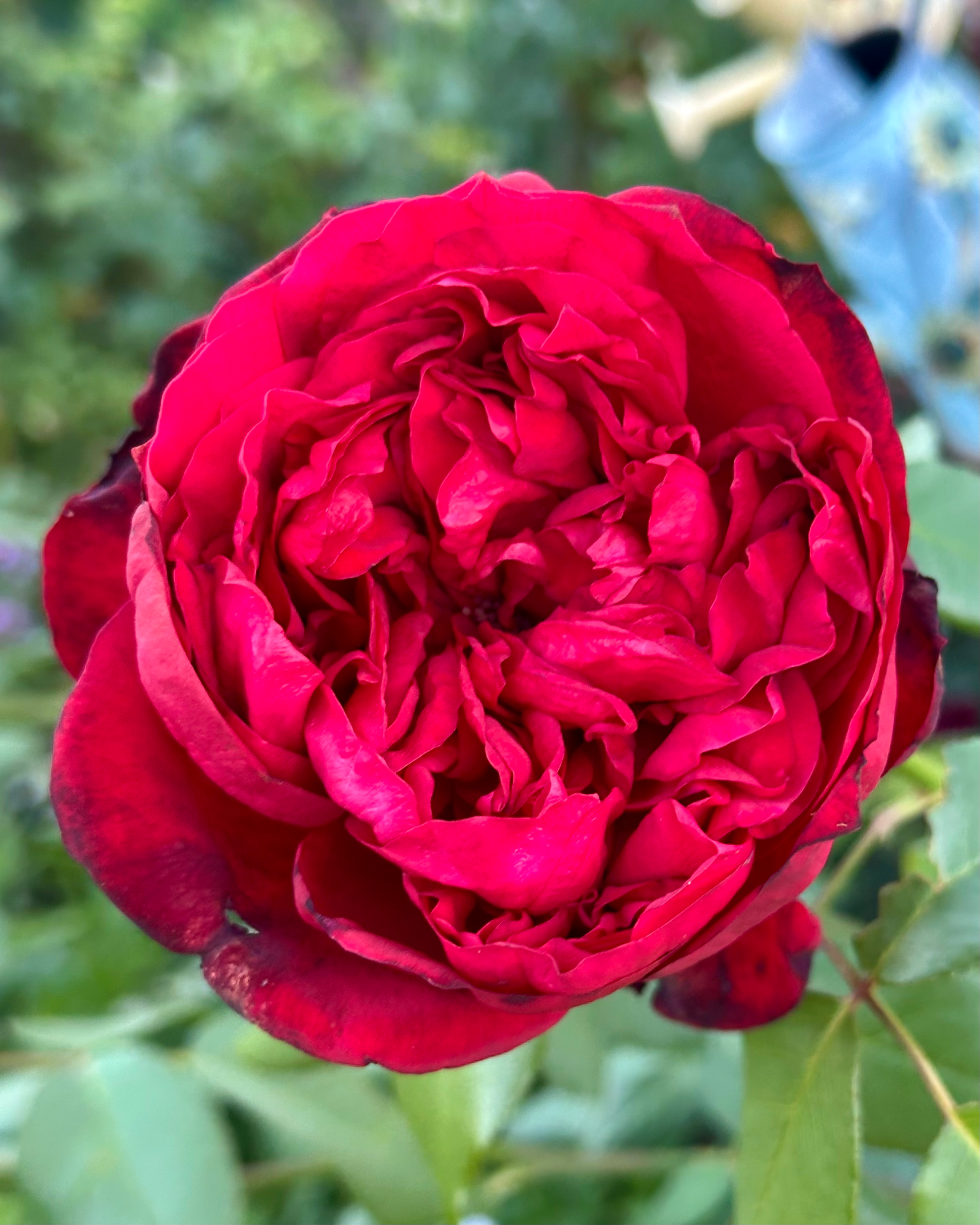 Michiel de Ruyter (TAN08996) image 0